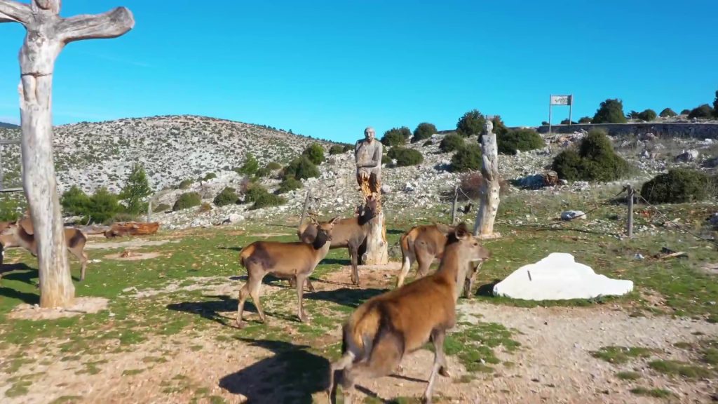 Εκδρομή στήν Πάρνηθα – Καταφύγιο Μπάφι Χασιά