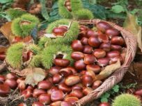 Sergiani Travel - Ταξιδιωτικό Γραφείο